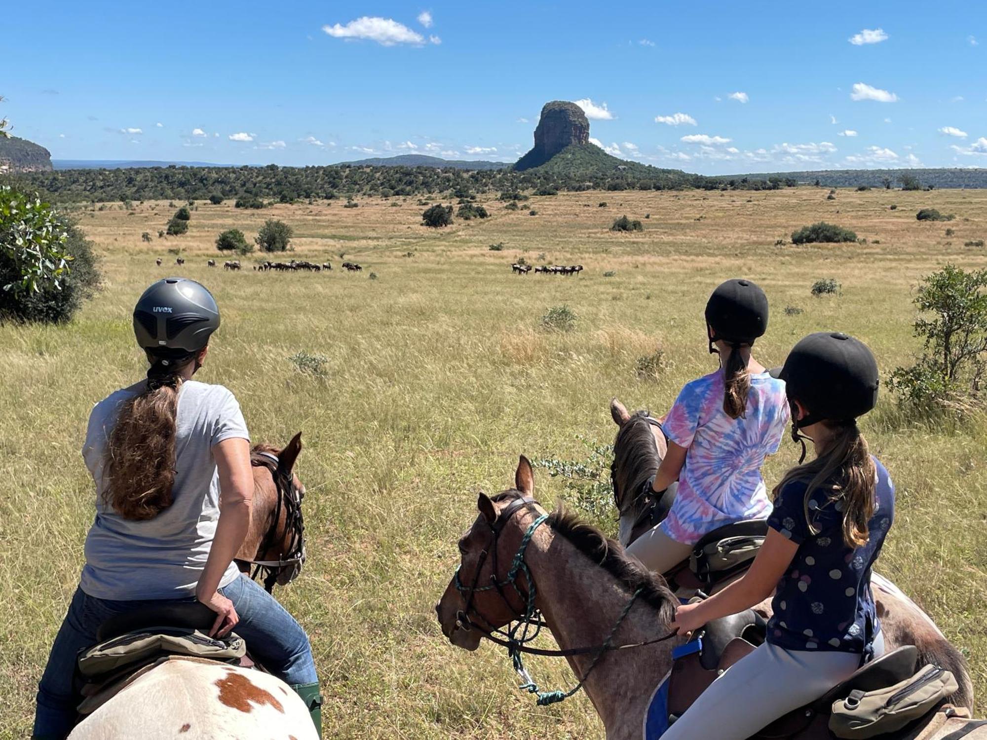 Entabeni Mountain Lodges Golders Green Esterno foto